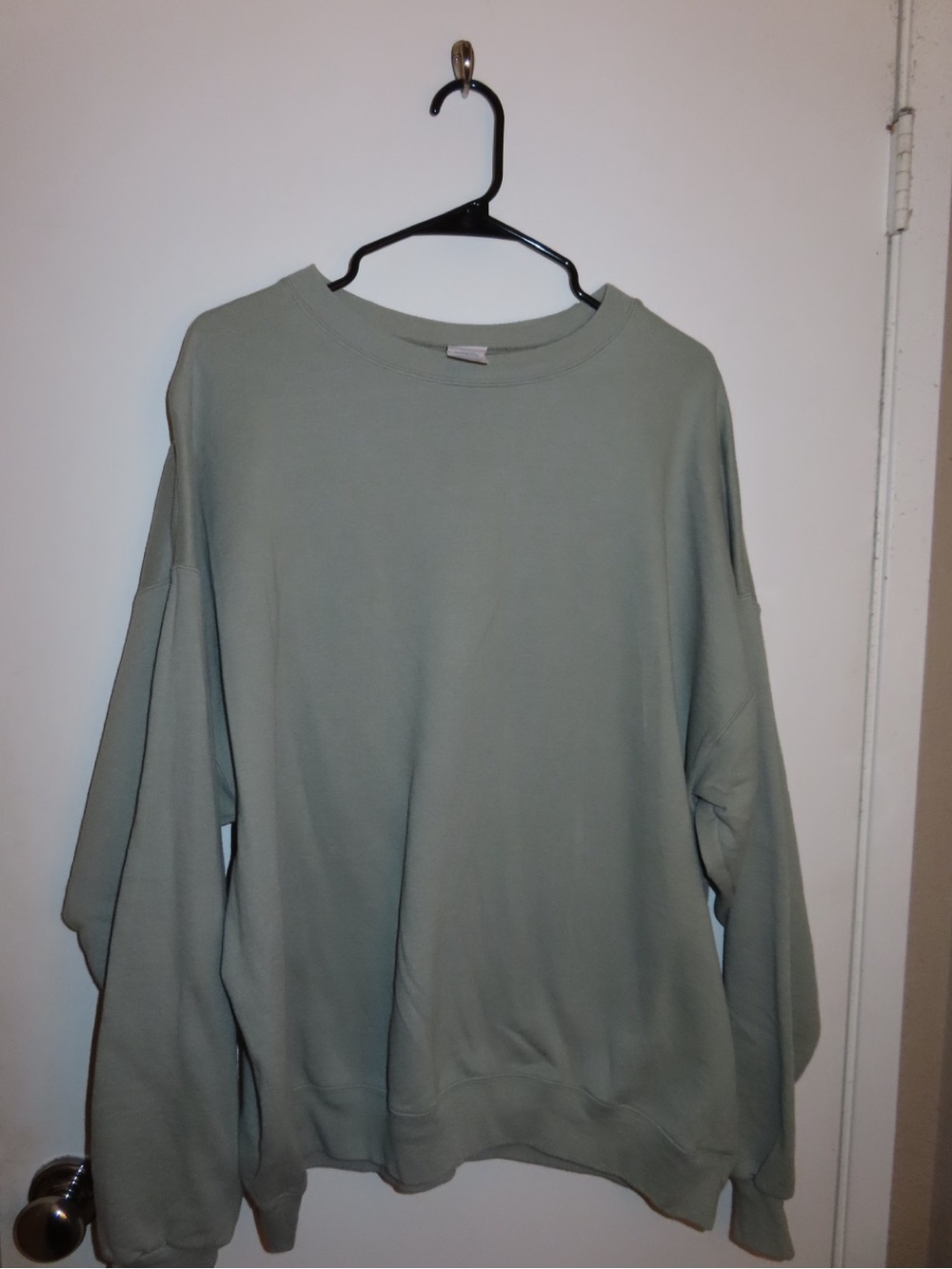 Hanes EcoSmart Light Sage Green Crewneck Sweatshirt